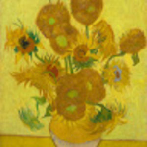 Meet your Posher, Karina